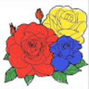 Meet your Posher, Jocelin